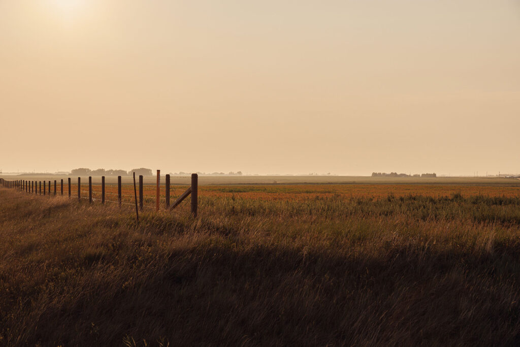 McKay Lands Parcel 3 - A wire and wooden fence sits on top of tall green and gold farm land grass below a hazy looking sky