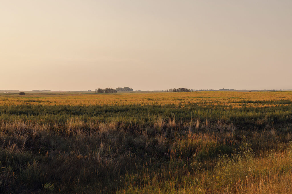 McKay Lands Parcel 3 - Tall green and gold farm land grass below a hazy looking sky