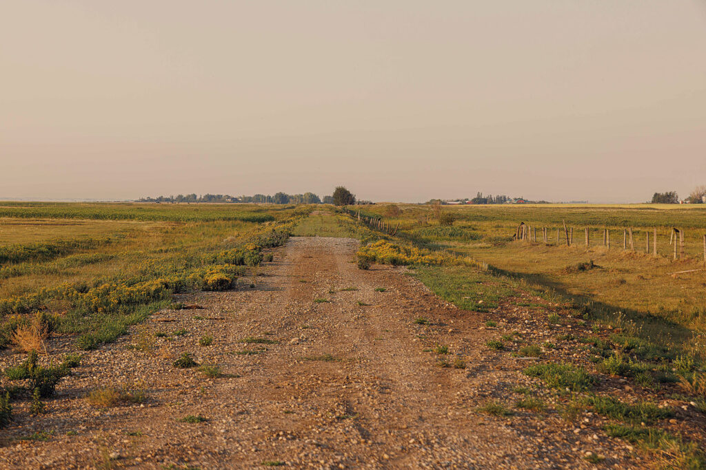 McKay Lands Parcel 3 - A dirt and grass road leading into gold and green farm land