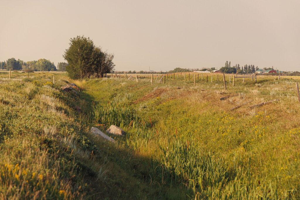 McKay Lands Parcel 7 - Grassy and dirty farm fields leading into a small ditch with rocks in it