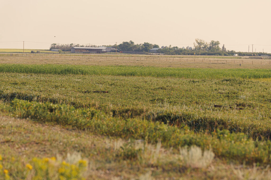 McKay Lands Parcel 8 - Grassy and dirty farm fields sit in front of farming property