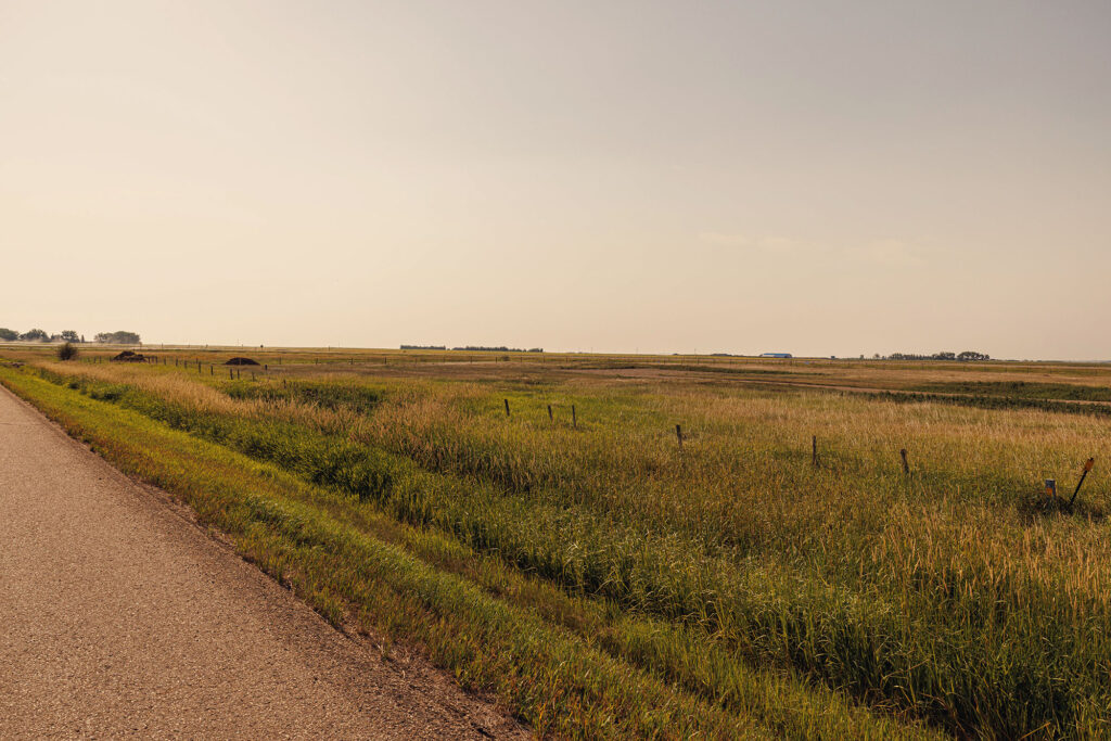 McKay Lands Parcel 2 - A wire and wooden fence runs through a green and gold grassy piece of farm land next to a highway road