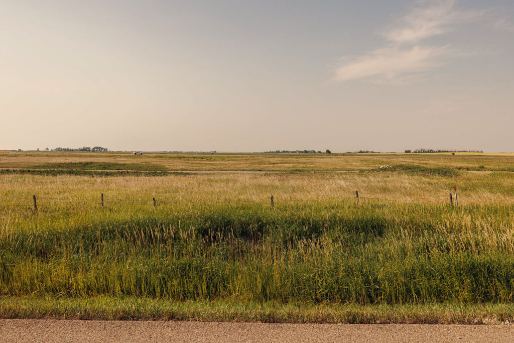 McKay Lands Parcel 2 - A wire and wooden fence runs through a green and gold grassy piece of farm land