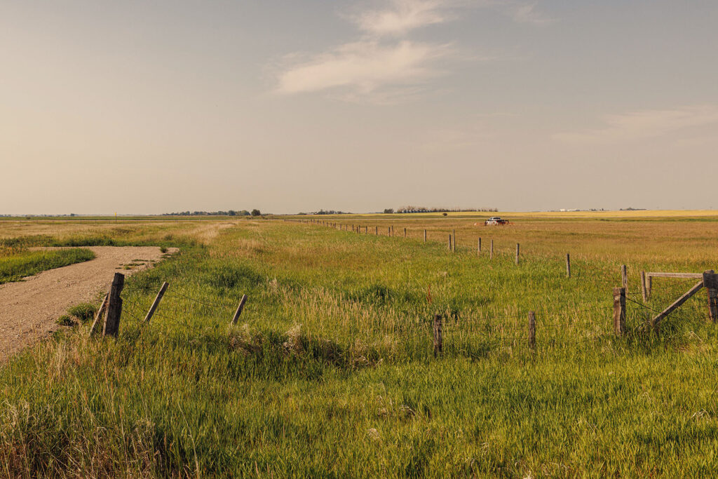 McKay Lands Parcel 4 - A dirt road runs next to tall green farm land grass that is fenced in with a wire and wooden fence